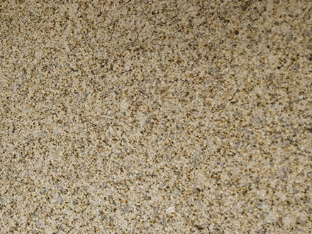 山東黃金麻荔枝面