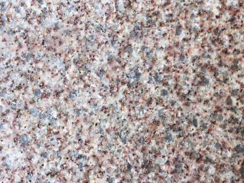 山東黃金麻火燒面