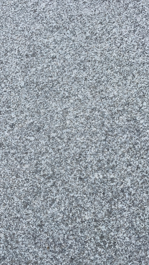 山東芝麻灰光板